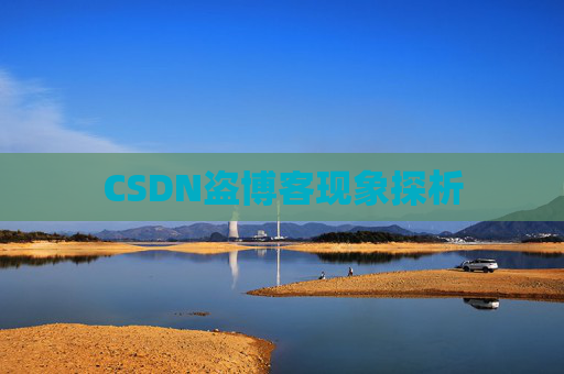CSDN盗博客现象探析